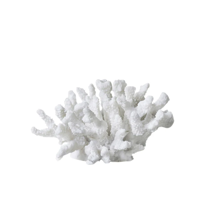 Miniaturebillede 1