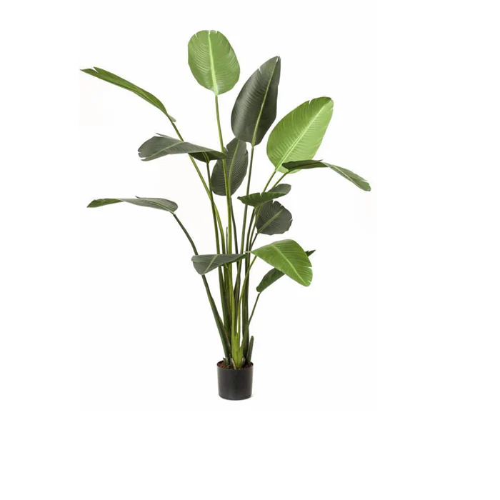 Miniaturebillede 1